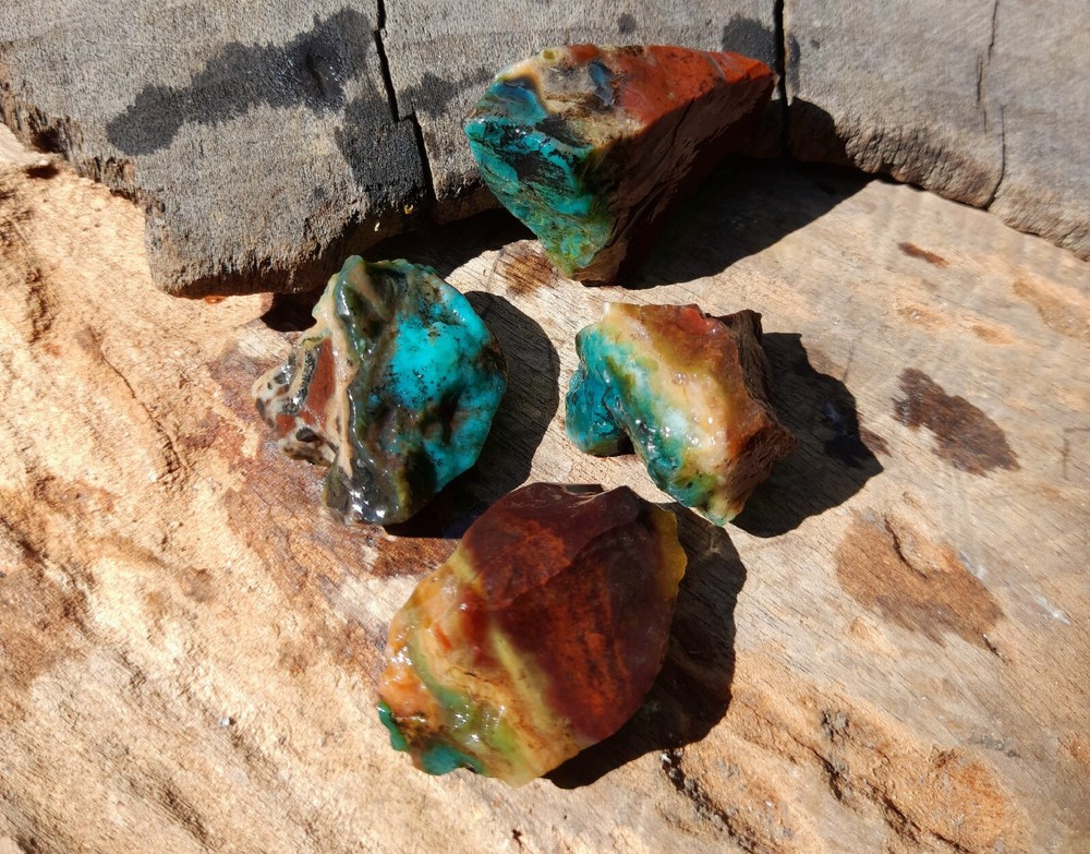 Get 4pc, Rare Natural Blue Opalized Petrified Wood, Indo Java Gem Minerals