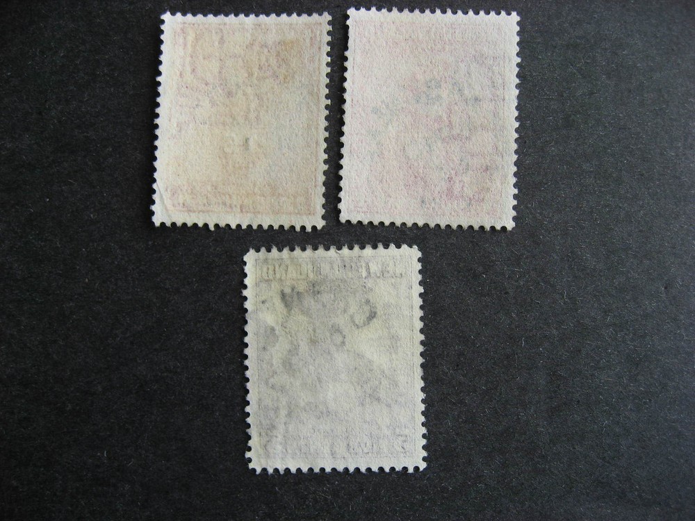 Newfoundland 3 split ring socked on the nose cancels, check them out!