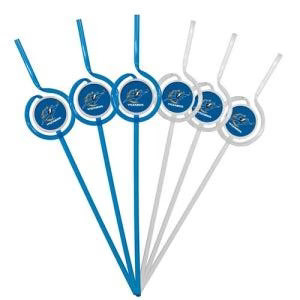 Washington Wizards Team Sipper Straws