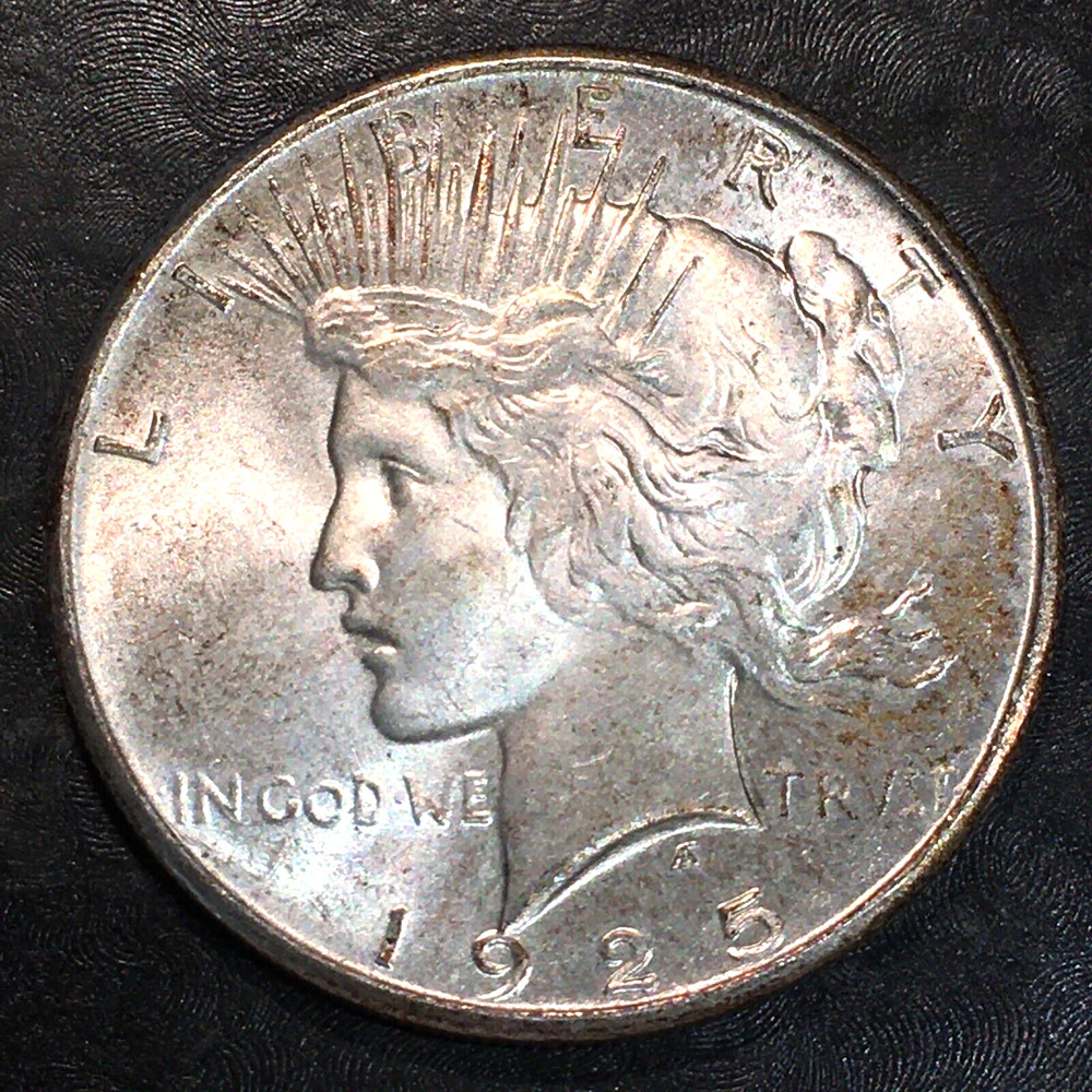 1925 Peace Silver Dollar - High Quality Scans #N460