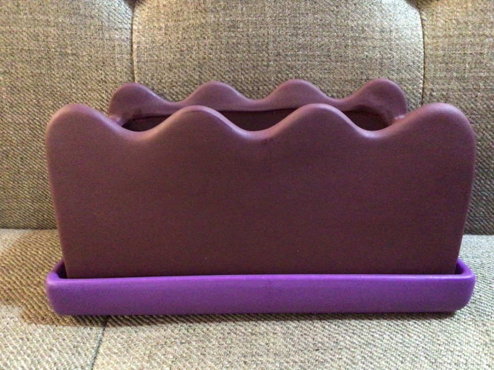 Target Pride Collection Biology Isn't Binary Purple Ceramic Pot Planter NEW