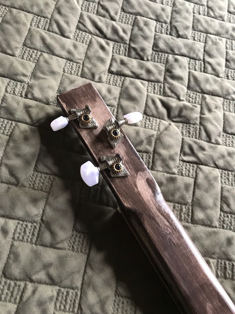 3 String Fretless Box Guitar