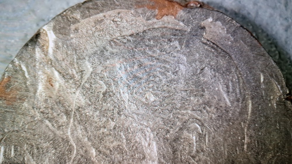 STRIKE ERROR? EXTRA WEIGHT?WEAK FEATURES? ALL MINT ERRORS? 2011 D US DIME #603