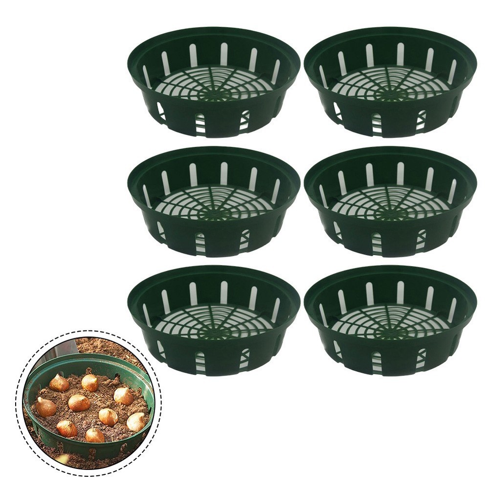 Practical 6pcs Green Plant Baskets for Various For Flower Bulb Projects