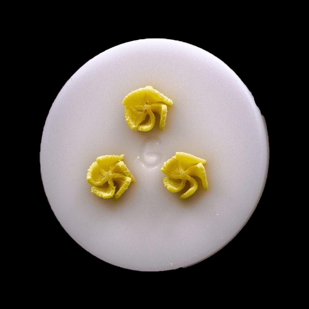 Philips Pasta Shape Discs Set: 5 Unique Attachments for Automatic Makers