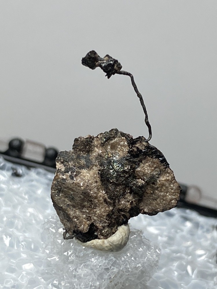 Silver Wire On Matrix - Uchucchacua Mine, Peru - Thumbnail
