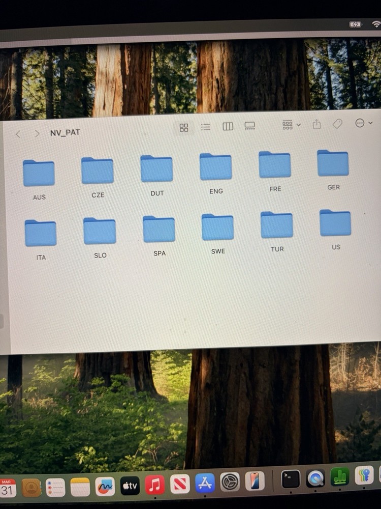 Nevro Flash Drive w/ Neck Strap