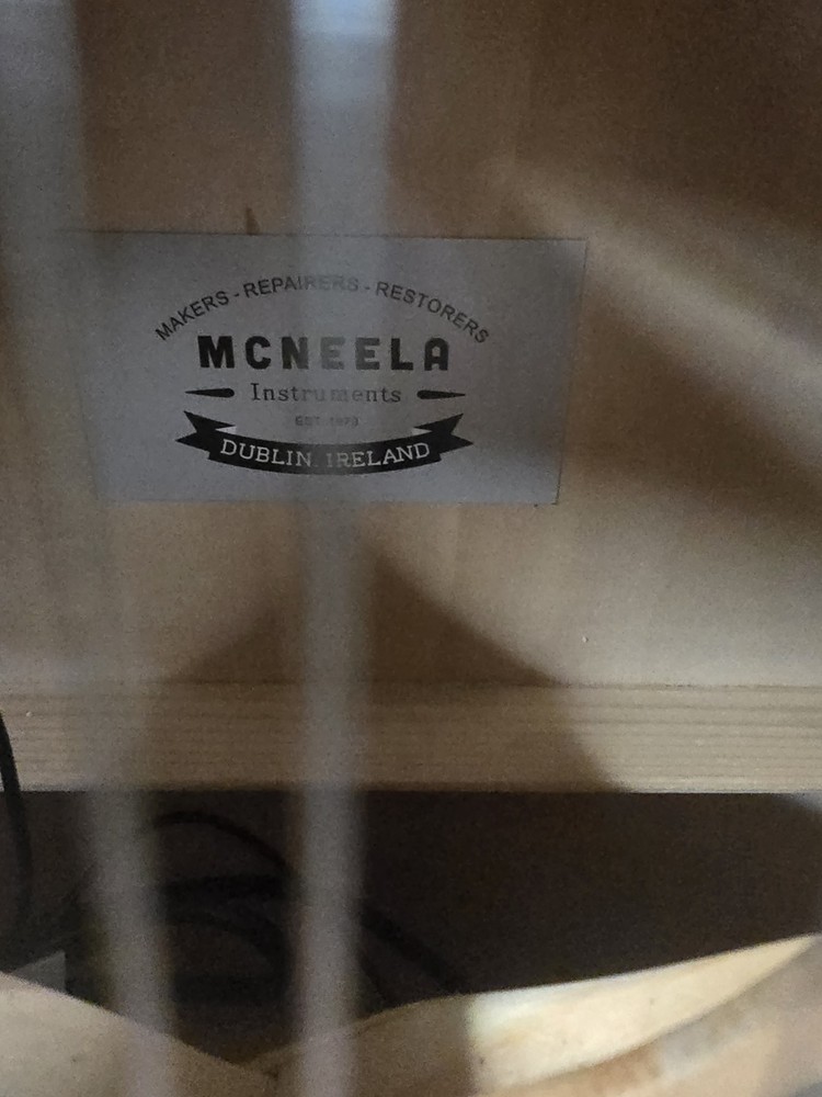 Mcneela ElectroMandolin Clean
