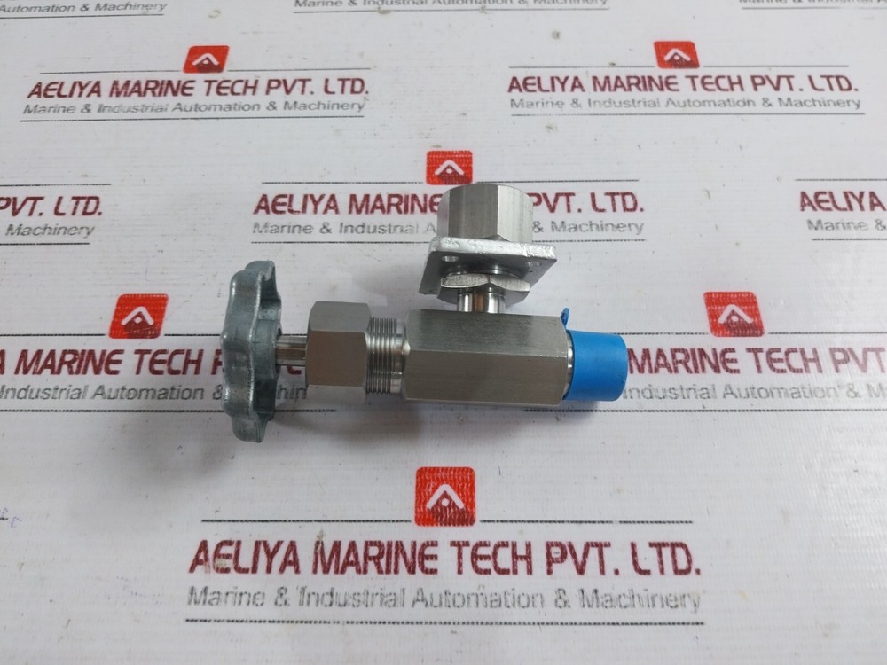 843825 Needle Valve BD302511