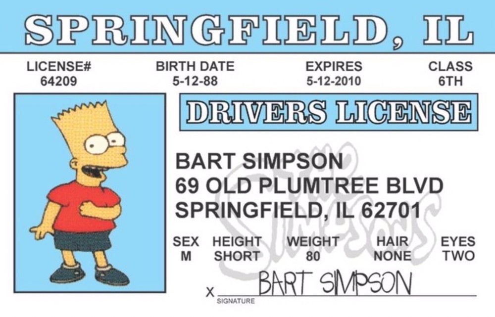 Bart Simpson Drivers License 3.4” X 2.2” Laminated ID Card.