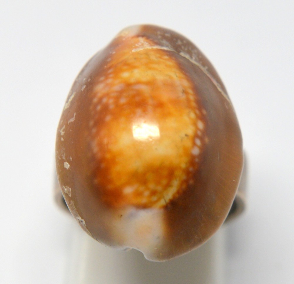 ARTISAN 900 SILVER HEAVY RING WITH COWRIE SHELL