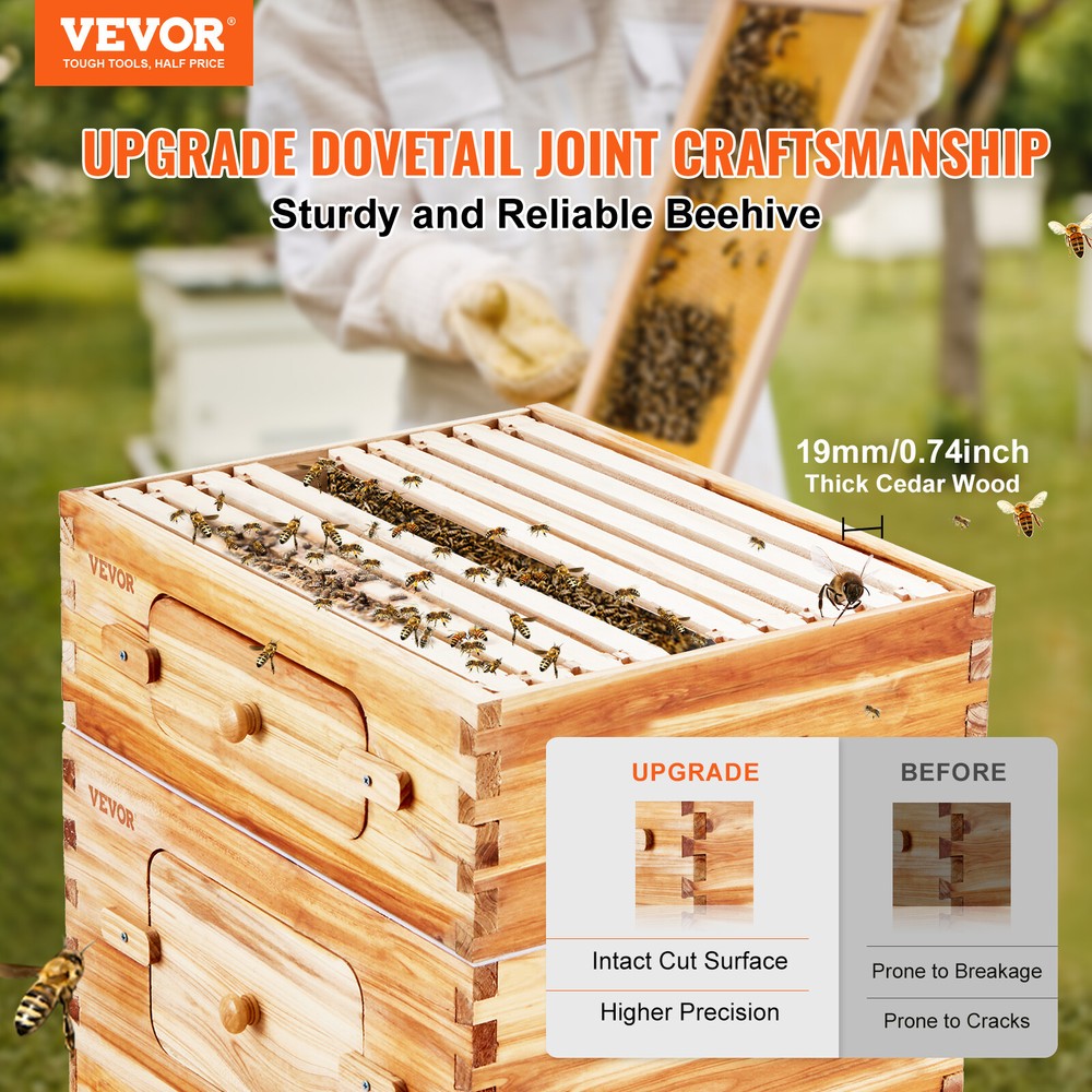 VEVOR Bee Hive Langstroth Kit 10 Deep & 10 Medium Frames with Acrylic Windows