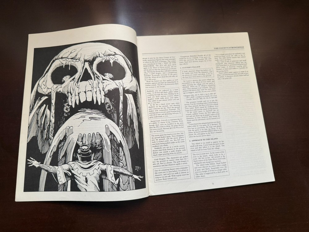 D&D TSR Adventure Module “Sabre River”