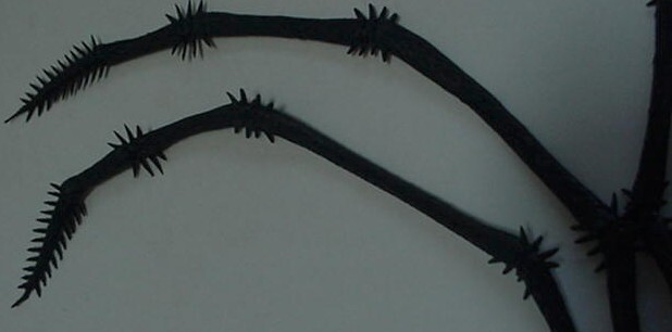 Rubber Black Spider 17" 1970s Bat Vintage