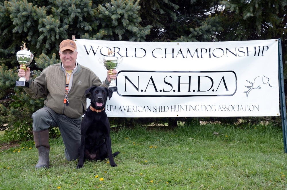 Shed Antler Hunting Dog Training Kit