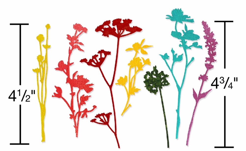 Sizzix Thinlits Wildflowers #661190 7pk set Retail $22.99 designer Tim Holtz