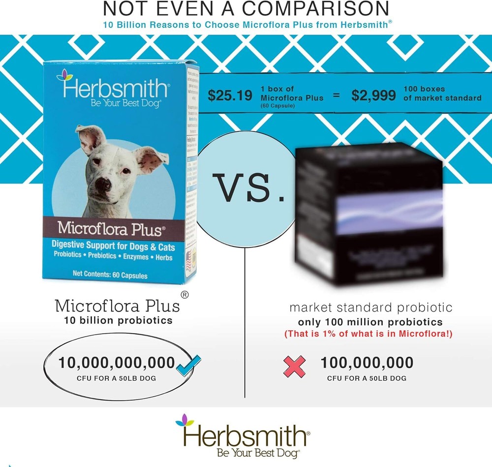 Herbsmith Microflora Plus – Dog Digestion Aid –Probiotics and Digestive