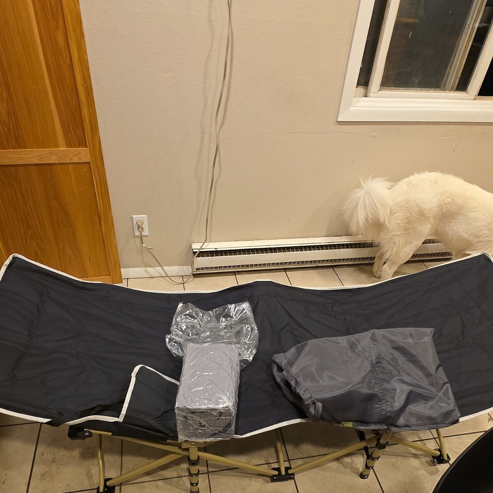 Portable Foldable Camping Cot Black Gray Polyester Metal Frame with Carry Bag