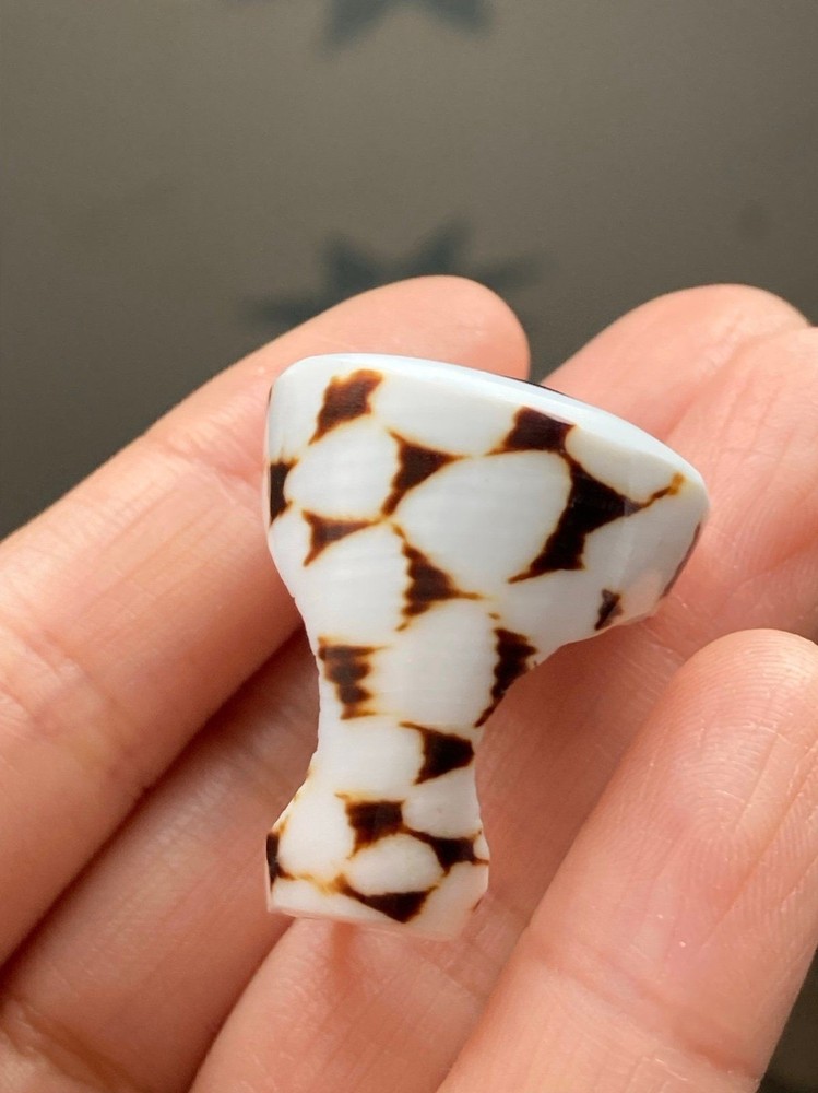 Pretty black white abalone center shell ring size 5.25