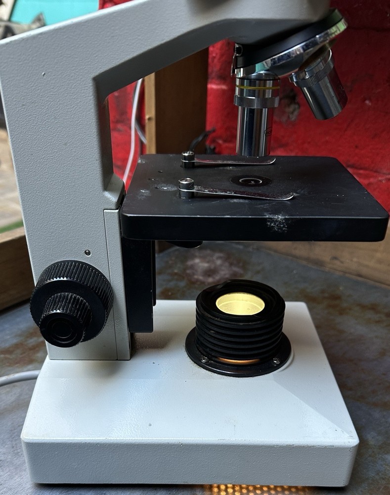 Wolfe Circa 2000 Student Compound Microscope - Model 855838 - Excellent Shape