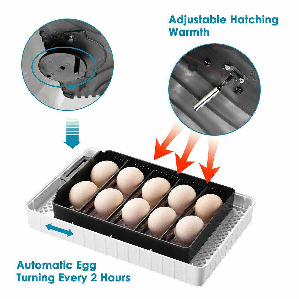 Incubator Automatic Digital Hatching 12 Eggs Mini Machine For Quail Chick Bird
