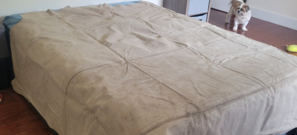 Light to Medium Tan Large Leather Hide | Chap Leather Sides