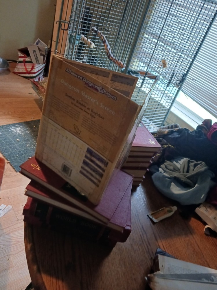 Dungeon Master Screen 2nd Adition