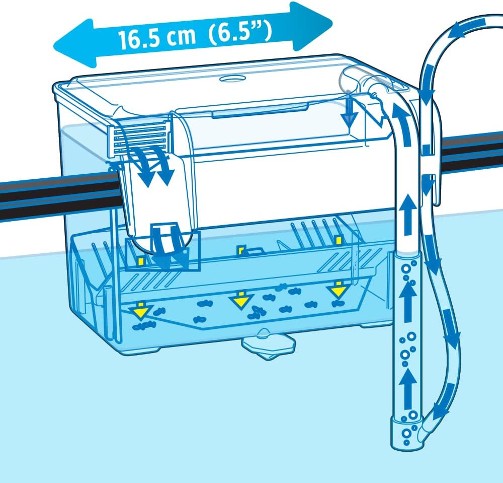 Multi-Chamber Holding and Breeding Box, Medium