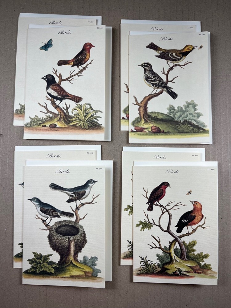 Cavallini & Co. Birds Stationery Set