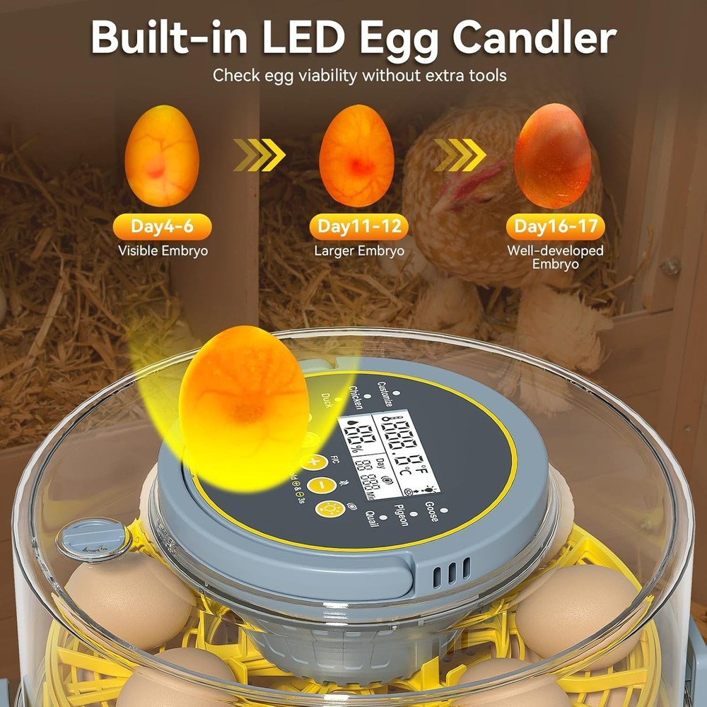 20 Egg Incubator with Auto Rotation, Temperature & Humidity Control