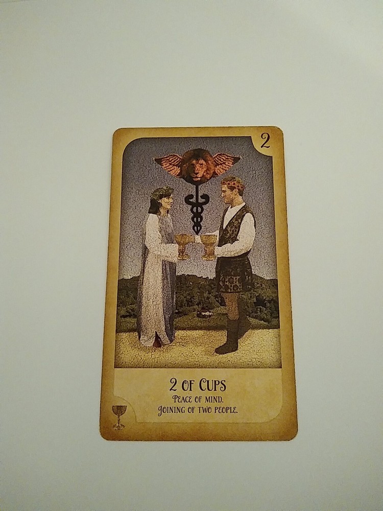 Love Reading Tarot ( 5 Paragraphs)
