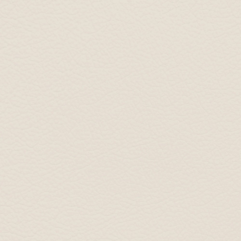 GM Cirrus Leather Dye