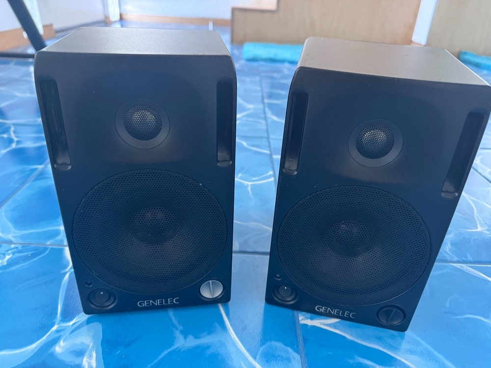 Genelec 2029B studio monitors - Matched Pair!
