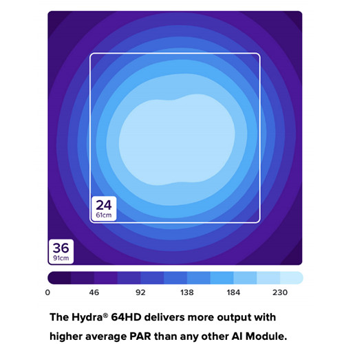 AI Hydra 64 HD LED Module - Black