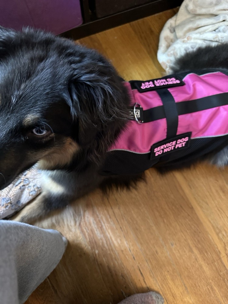 11 Pinwheel Hand Fidget Spinners Assorted Designs