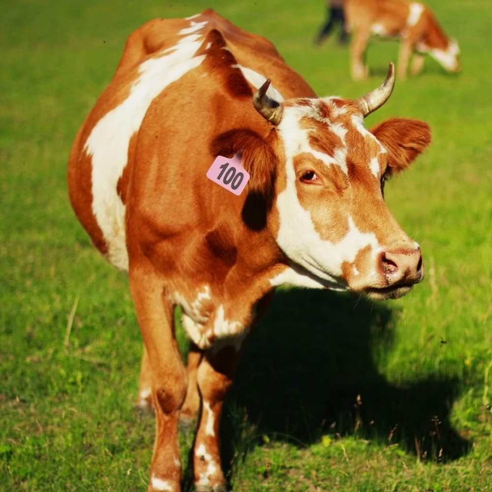 Ranch-Ready Pink Cattle Ear Tags 100 Count – Durable Tags with Applicator