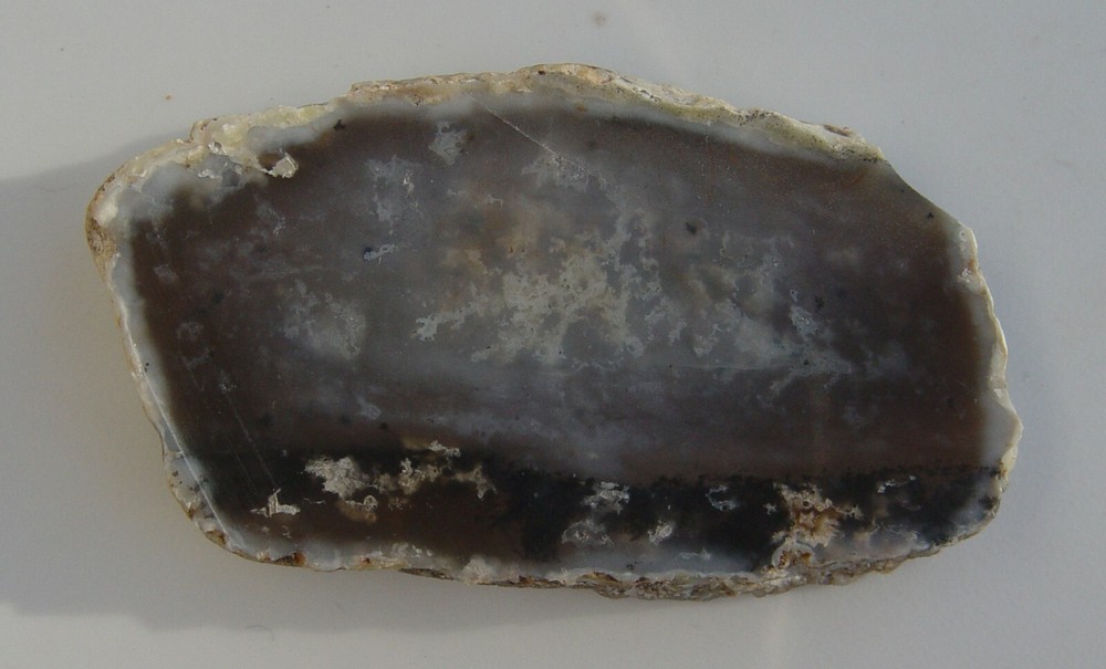 Dendritic Agate Lapidary Slab T967