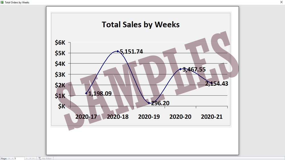 Ms Access Database Consulting and Programming Guaranteed Service Ticket $0.99