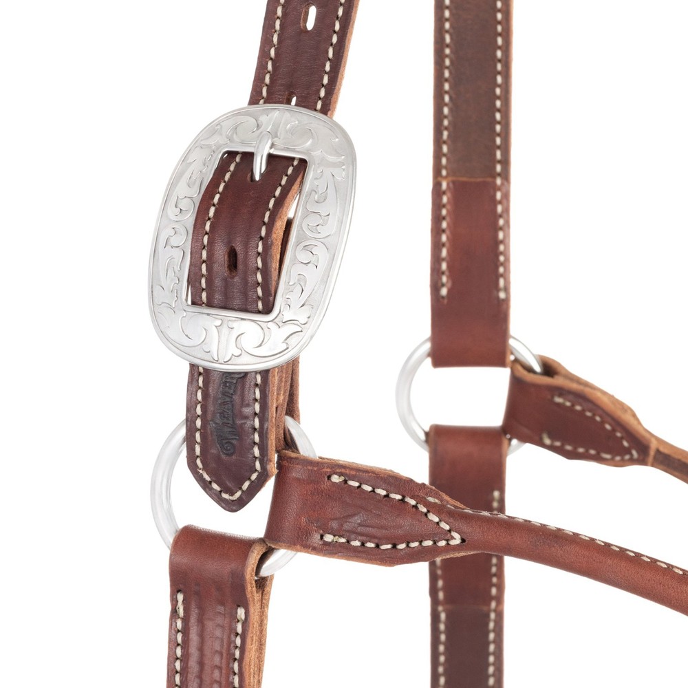Stacy Westfall Bronc Halter, 1", Average Brown