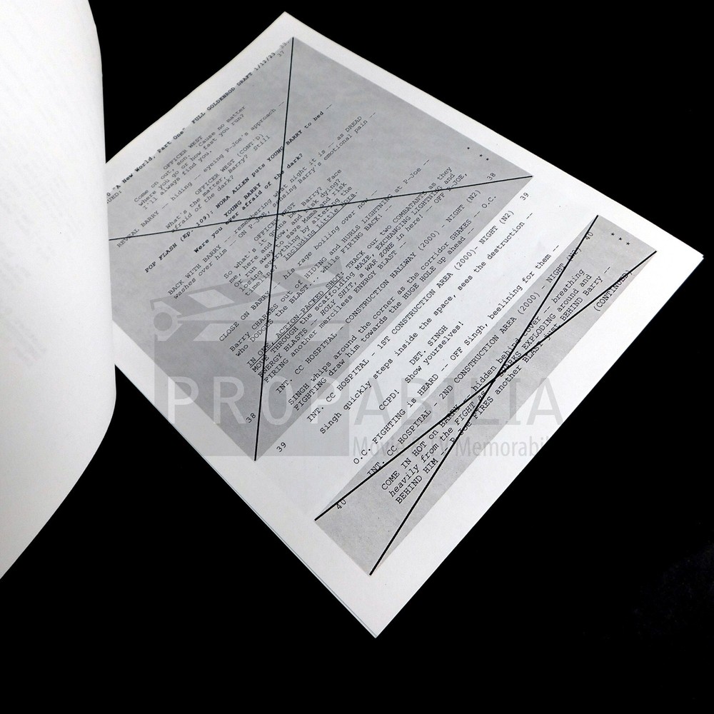 THE FLASH Call Sheet and Script Sides S09E10 Original Prop (11561-8158)