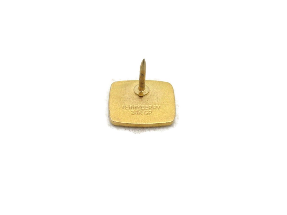 MSPS Lettered Pin Blue White & Gold Tone