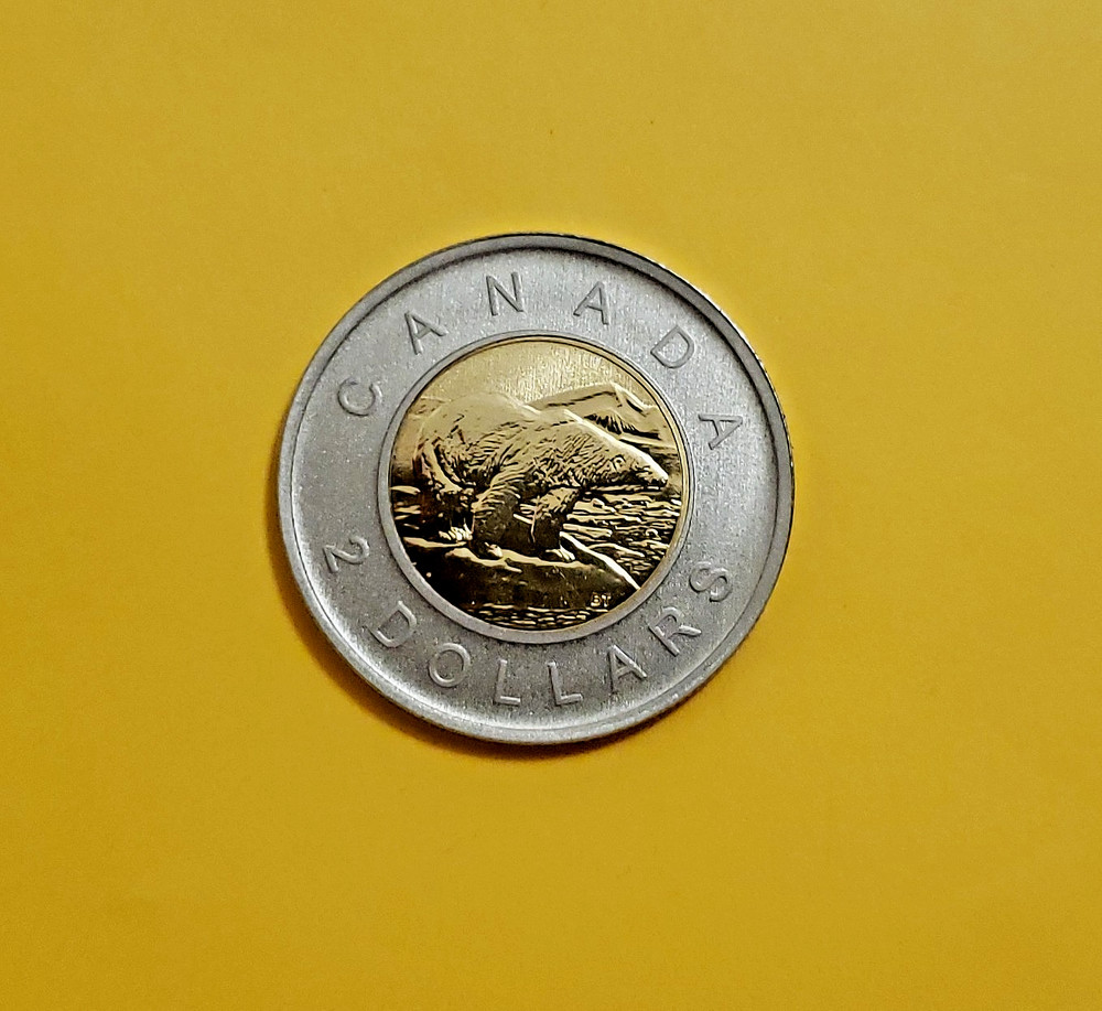 2010 Canadian Specimen Twoonie