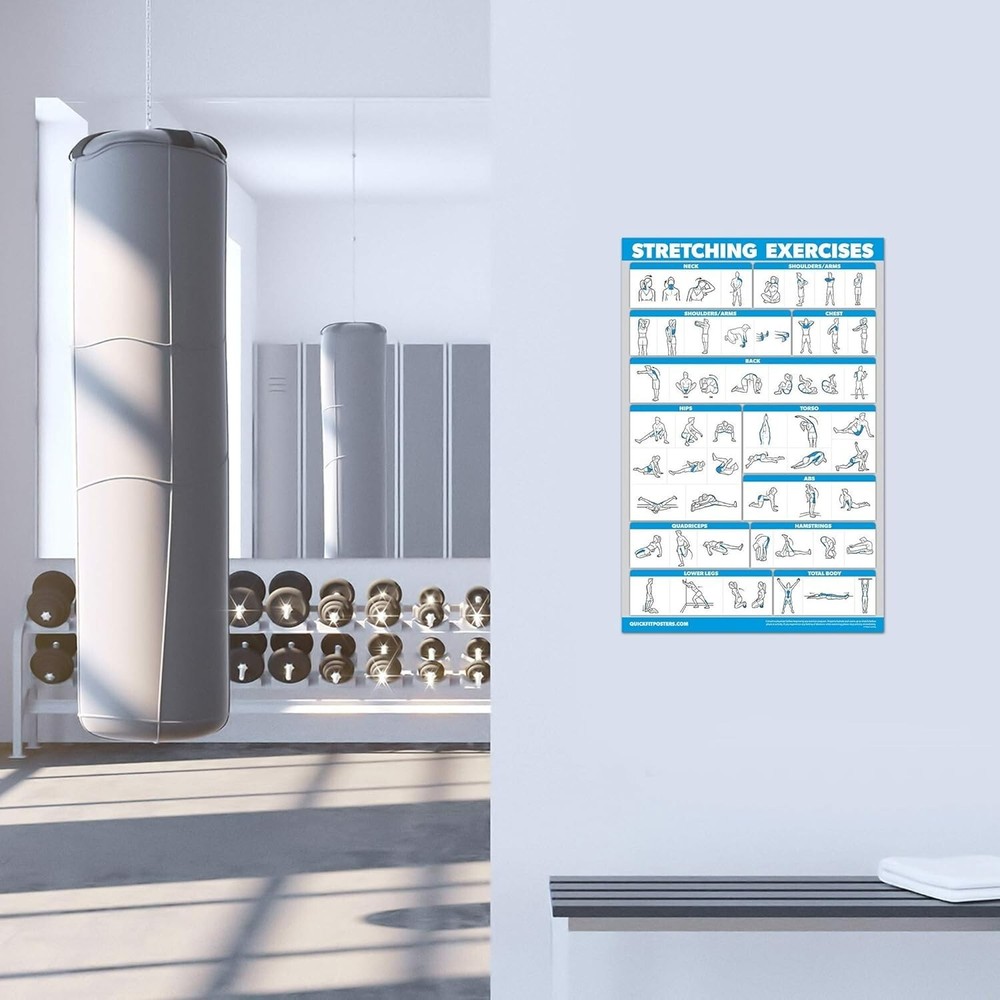 "QUICKFIT Stretching Workout Exercise Poster - Stretch Routine (Laminated, 18""