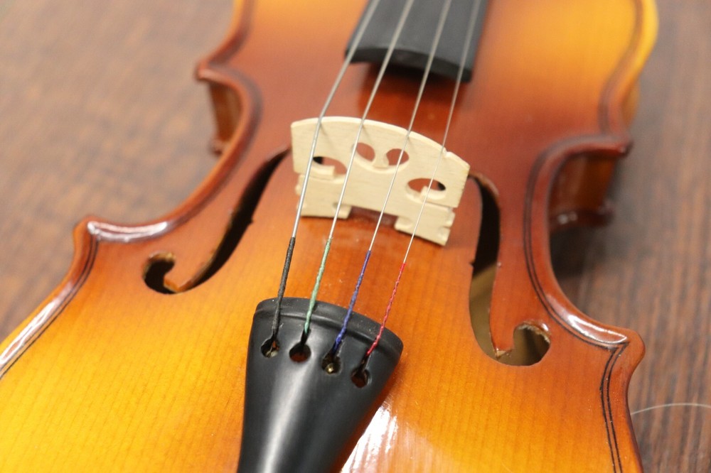 Vuillaume 14" Micro Violin With Case and Bow