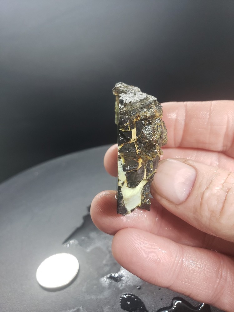 Nevada Gecko Variscite Slab