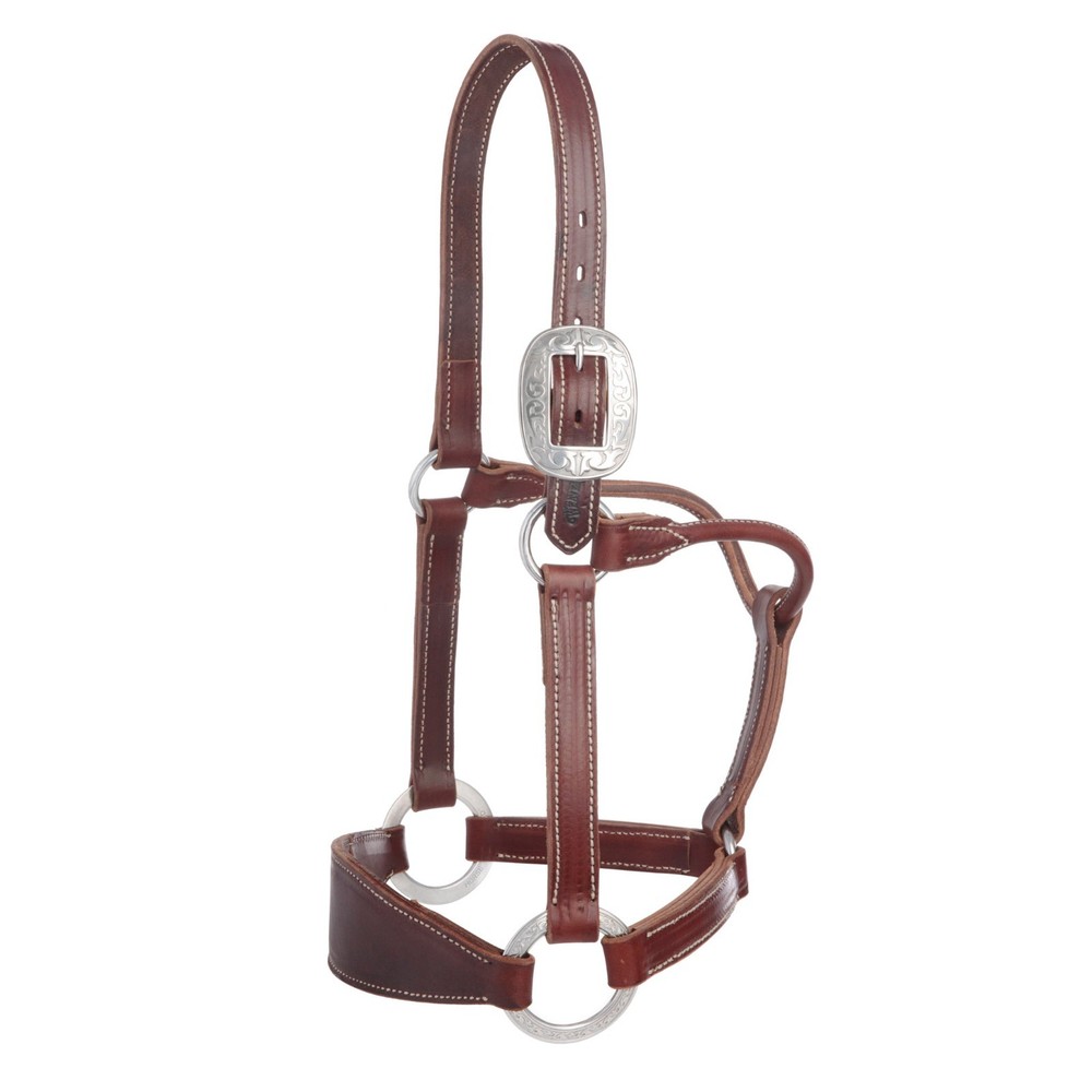 Stacy Westfall Bronc Halter, 1", Average Brown