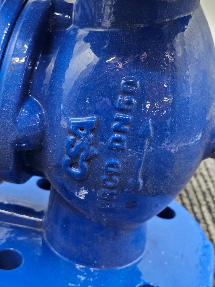 CSA VRCD DN50 Direct Acting Pressure Reducing-Stabilizing Function 1.5-6BAR