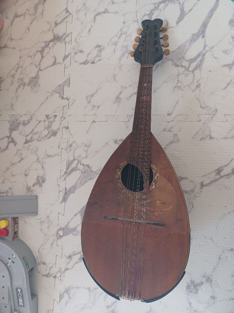 wooden mandolin 8 strings