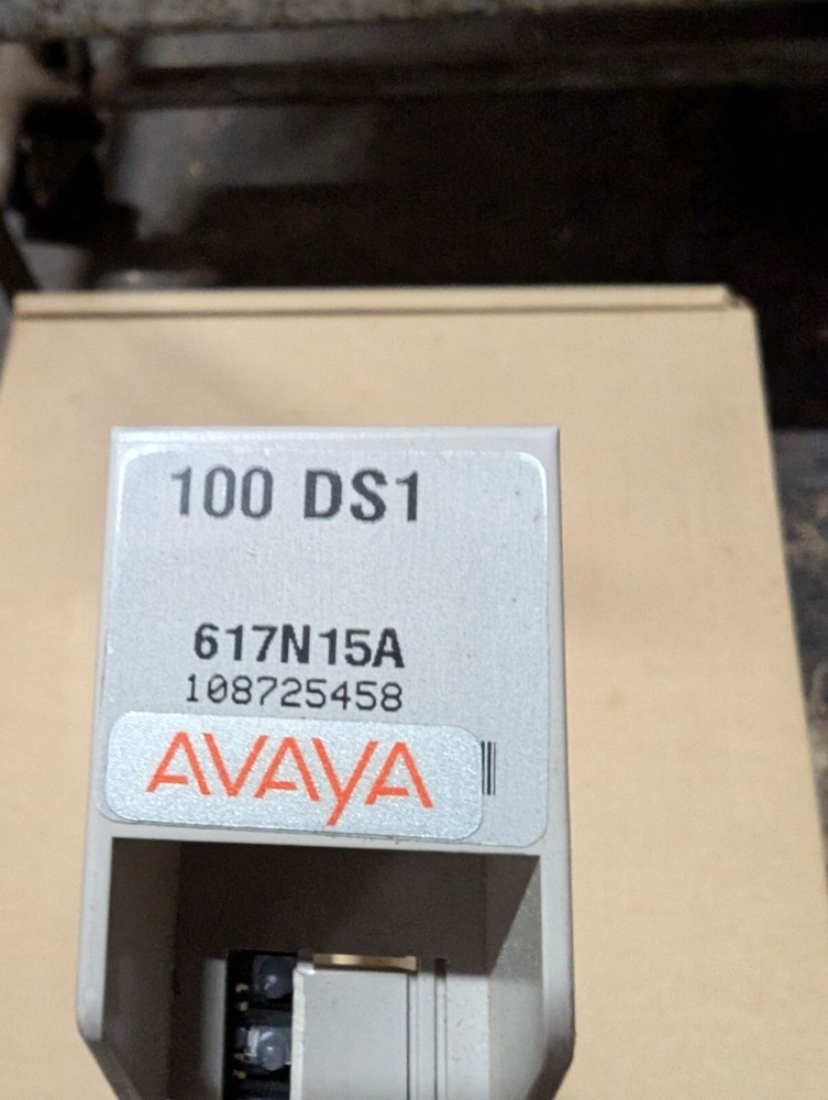 Avaya Merlin Magix 100 DS1 Module