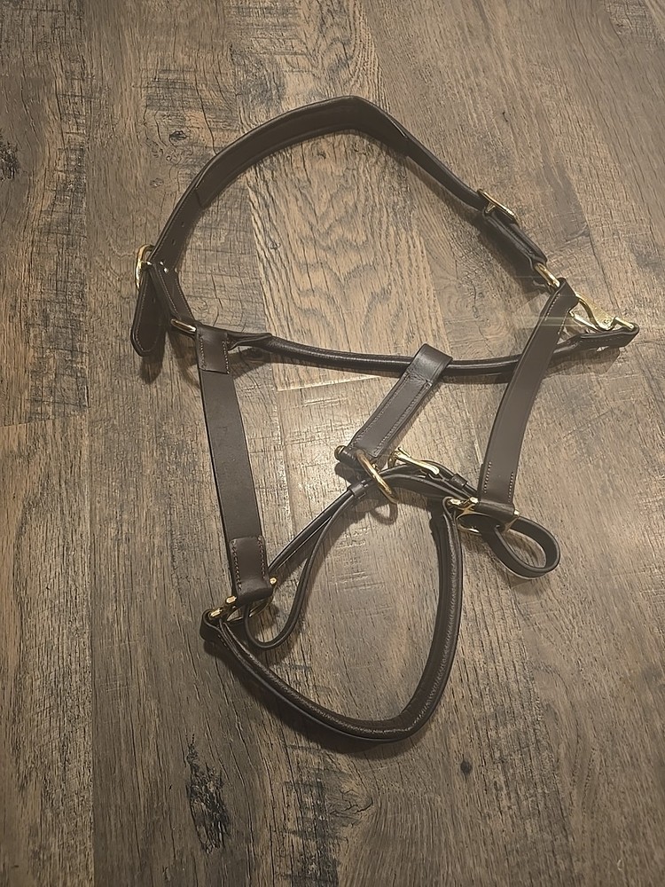 Horse Leather Halter